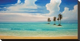 Sea Spray Reproduction transférée sur toile par Rick Novak