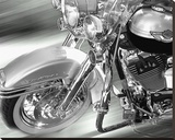Road king Stretched Canvas Print by Richard James