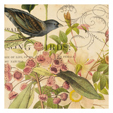 Birdwatching IV Prints by Tammy Repp
