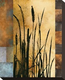 Sawgrass I Reproduction transférée sur toile par Rick Novak