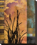 Sawgrass II Reproduction transférée sur toile par Rick Novak