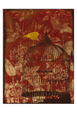 Birdcage Print by Jace Grey