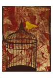 The Birdcage Affiches par Jace Grey