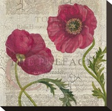 Poppy Pages Square I Stretched Canvas Print by Louise Montillio