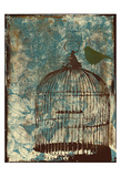 Birdcage Prints by Jace Grey