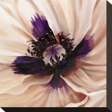 Poppy Dreams II Stretched Canvas Print by Louise Montillio