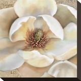 Magnolia Masterpiece II Stretched Canvas Print by Louise Montillio