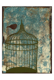 The Birdcage Posters par Jace Grey