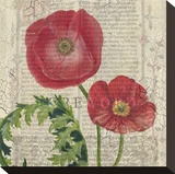 Poppy Pages Square II Stretched Canvas Print by Louise Montillio