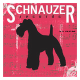 Schnauzer Posters by Taylor Greene