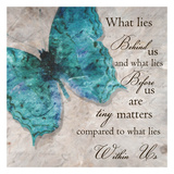 Blue Butterfly I Kunstdruck von Taylor Greene