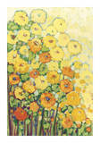 Marigolds for Carson Giclee Print by Jennifer Lommers