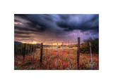 Crack Giclee Print by Bob Larson