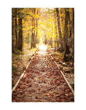 Into the Light Giclee Print by Michael Hudson