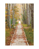 Journey Giclee Print by Michael Hudson