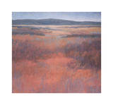 New Mexico Red Giclee Print by Jeannie Sellmer