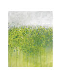 Mist on Green Reproduction procédé giclée par Jessica Torrant