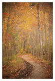 Winding Autumn Path Prints by Michael Hudson
