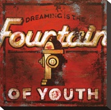Fountain Of Youth Reproduction transférée sur toile par Rodney White