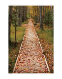 Straight Path Giclee Print by Michael Hudson