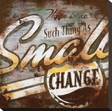 Small Change Stretched Canvas Print by Rodney White
