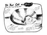 Is Your Cat On Drugs -Look For These Warning Signs - New Yorker Cartoon Premium Giclee Print by Stephanie Skalisky