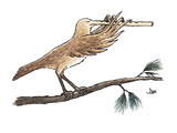 bird's extended, flute-like beak is played as an instrument - Cartoon Premium Giclee Print by John Jonik