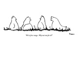 "We're free-range.  Why not run for it" - New Yorker Cartoon Premium Giclee Print by Michael Shaw