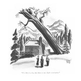 "We like it a lot, but there is one slight reservation." - New Yorker Cartoon Premium Giclee Print by Robert J. Day
