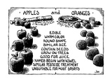 The similarities between apples and oranges. - New Yorker Cartoon Premium Giclee Print by John Jonik