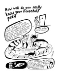 How Well Do You Really Know Your Household Pets - New Yorker Cartoon Premium Giclee Print by Stephanie Skalisky