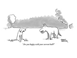 "Are you happy with your current ball" - New Yorker Cartoon Premium Giclee Print by Shannon Wheeler