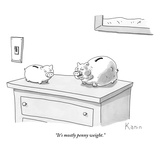 "It's mostly penny weight." - New Yorker Cartoon Premium Giclee Print by Zachary Kanin
