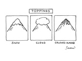 Toppings - New Yorker Cartoon Premium Giclee Print by Charles Sauers