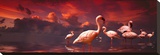 Flamingo Sunset Stretched Canvas Print by Richard Desmarais