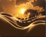 Camel Back Dream Stretched Canvas Print by Richard Desmarais