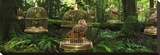 Birdcage Forest Stretched Canvas Print by Richard Desmarais