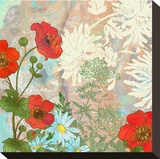 Summer Poppies I Stretched Canvas Print by Roberta Collier Morales