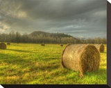 Bales of Hay Stretched Canvas Print by Richard Desmarais