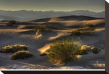 Stovetop Dunes, Death Valley Stretched Canvas Print by Richard Desmarais