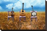 The Session Stretched Canvas Print by Christine Simpson
