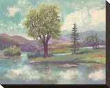 River Scape II Stretched Canvas Print by Victor Valla