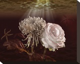 Blossoming Beneath Stretched Canvas Print by Christine Simpson
