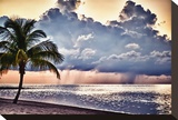 Morning Rain Stretched Canvas Print by Vaughn Garner