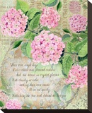 Pink Hydrangea I Stretched Canvas Print by Roberta Collier Morales