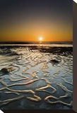 Halcyon Stretched Canvas Print by Ryan Hartson-Weddle