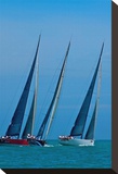 Sailboat Racing Stretched Canvas Print by Vaughn Garner