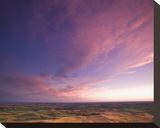 La Palouse Steptoe at Sunset II Stretched Canvas Print by Richard Desmarais