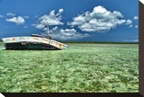 Ship Recked in Paradise Stretched Canvas Print by Jan Michael Ringlever