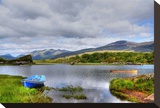 Solitude on Killarney Lakes Stretched Canvas Print by Jan Michael Ringlever